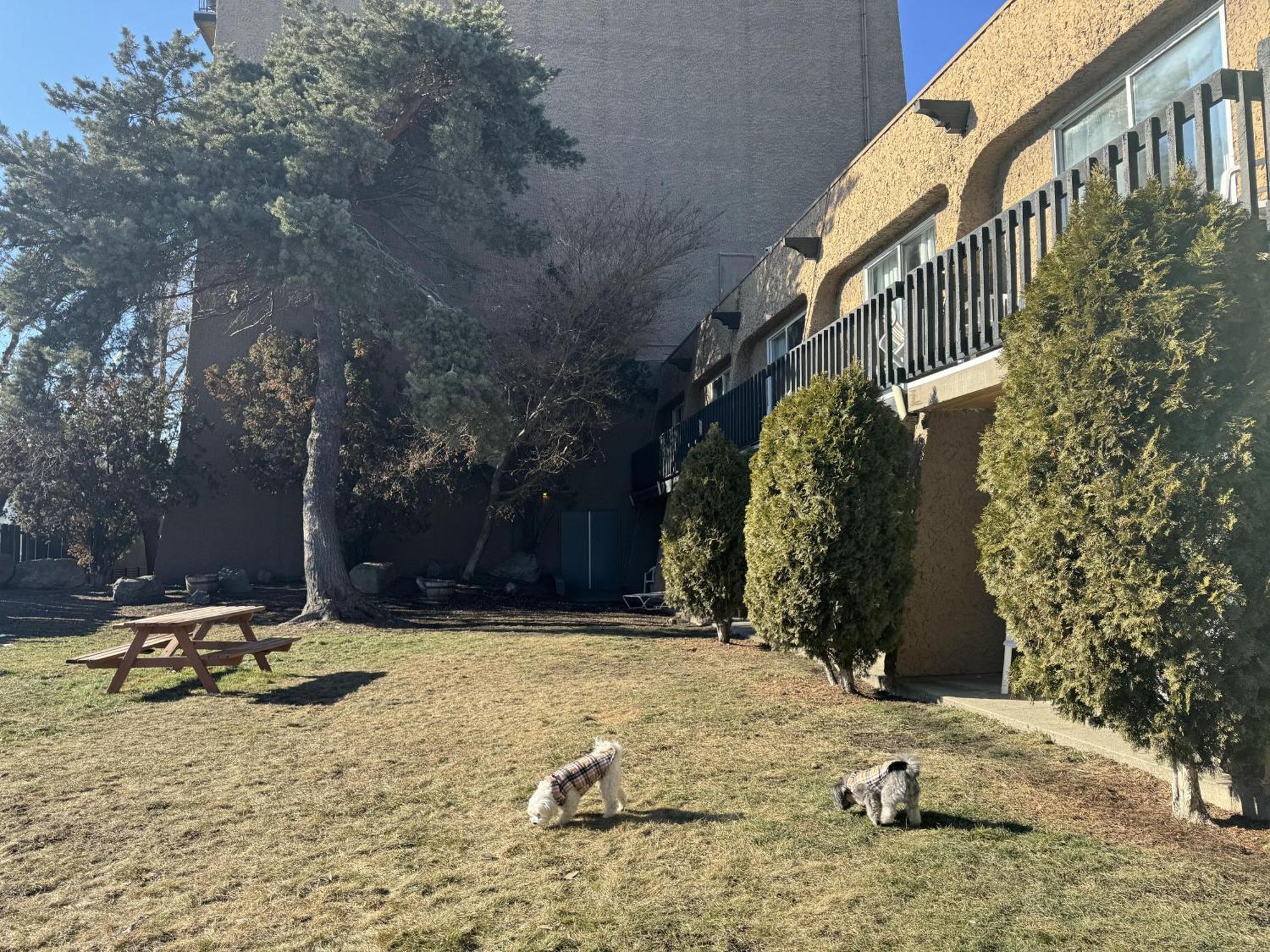 Divya Sutra Plaza And Conference Centre, Vernon, Bc Экстерьер фото
